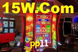 pp11.com