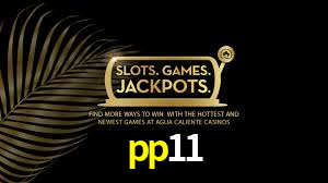 pp11,pp11.com