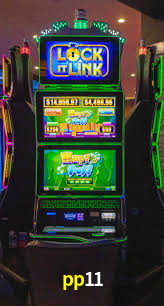pp11,pp11.com