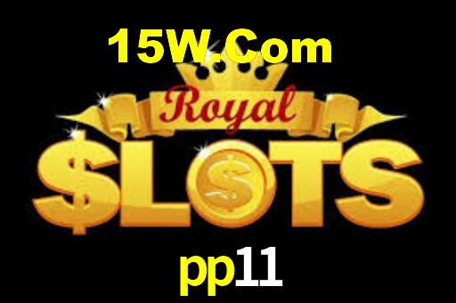 pp11.com