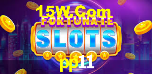 pp11.com