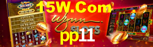 pp11.com