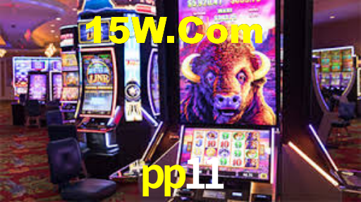 pp11,pp11.com